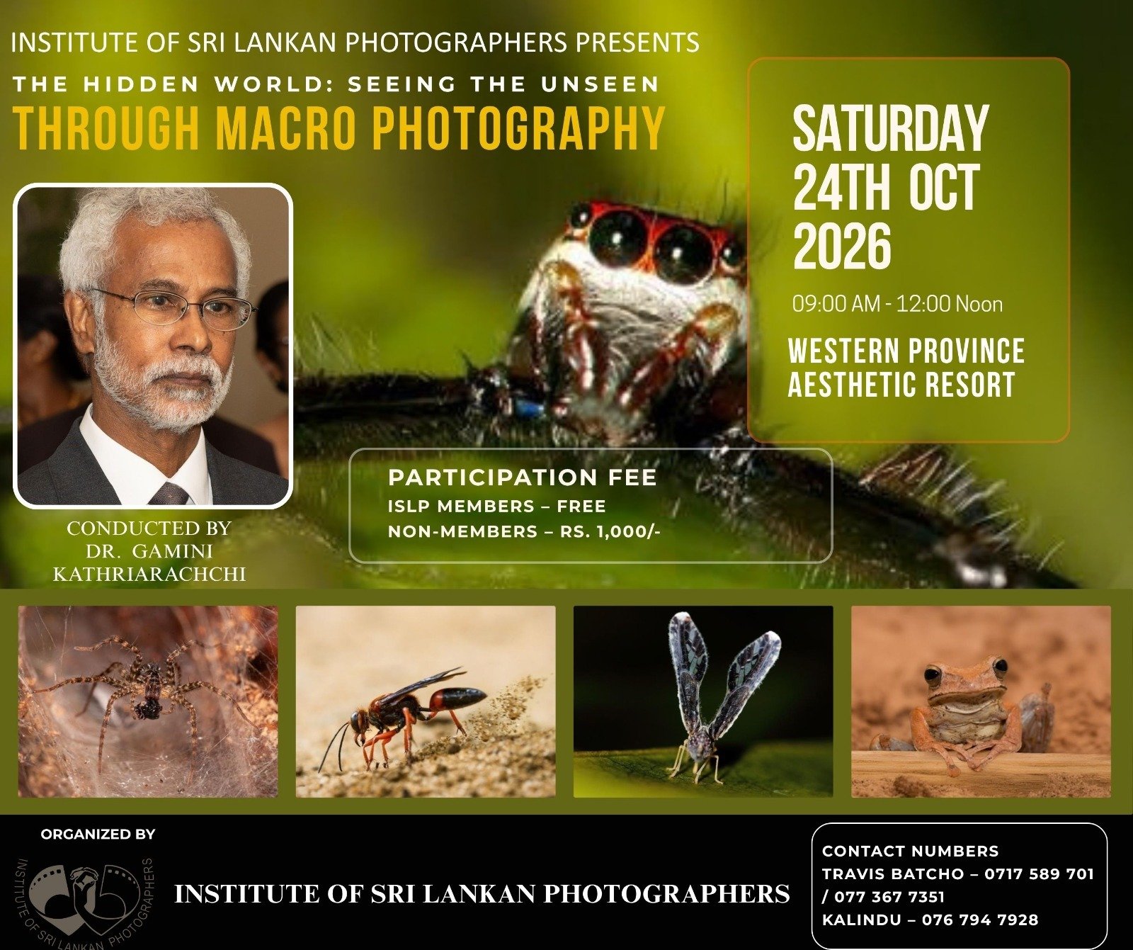 The Hidden World: Seeing the Unseen Through Macro Photography